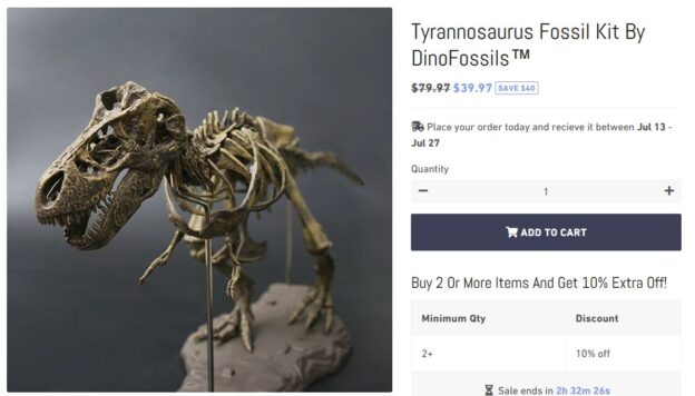 Dropshiping : comment se faire du pognon sur les instagrameurs crédules ?